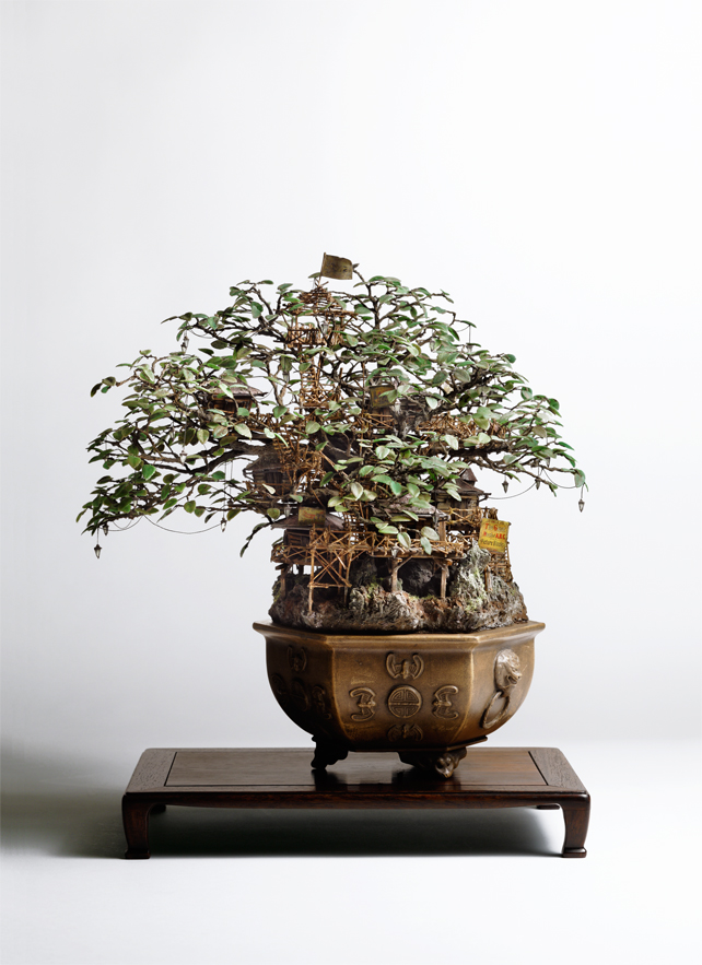 [Hình: 1_Aiba_Bonsai-A_view11.jpg]