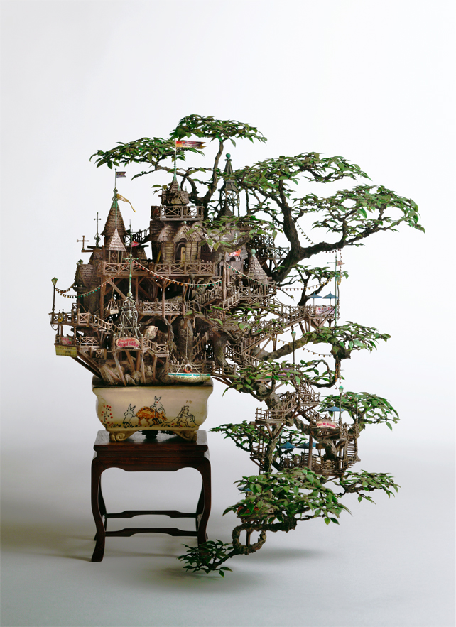 [Hình: 2_Aiba_Bonsai-B_view11.jpg]